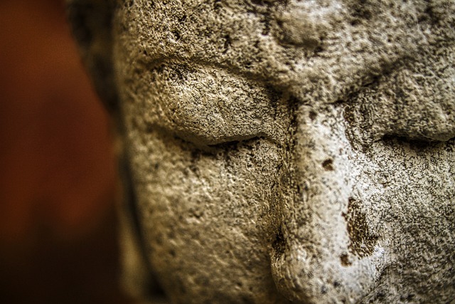 Wisdom Weave